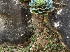 -寂照庵