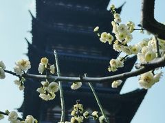 -上海方塔园