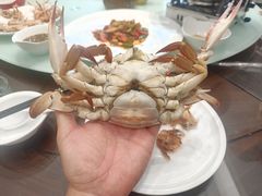 -北塘海鲜·天津菜(大光明桥旗舰店)