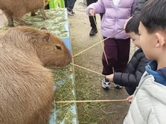-成都欢乐谷