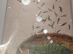 -卡旺卡(黄山银街店)