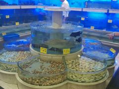 -东方御宴海鲜酒楼(棕泉酒店)