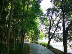-东湖落雁景区