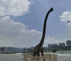 -恐龙探索乐园(磁器口店)