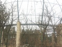 -北岭山森林公园
