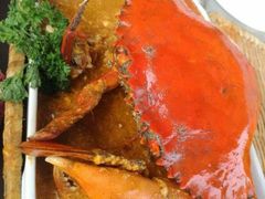 -茉莉.Red Crab
