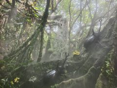 -青青世界