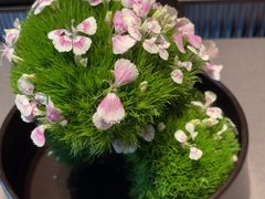 -海立阁海鲜江浙菜(漕河泾印象城店)