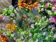 -循礼门鲜花花市(武汉循礼门店)