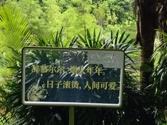 -云溪植物园