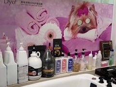 -北京观赏动物医院·24小时大型综合·猫专科·异宠专科