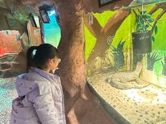 -上海昆虫博物馆