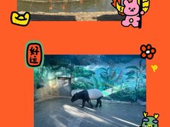 -杭州野生动物世界