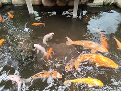 -上海大自然野生昆虫馆(东方明珠·爬宠昆虫探索中心)