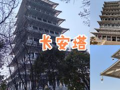 -西安世博园