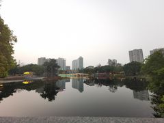 -荔湾湖公园