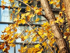 -辽宁大学(崇山校区)