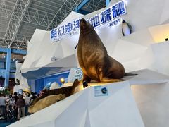 -泉城欧乐堡海洋极地世界