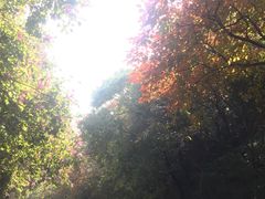 -白云山索道-售票处