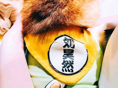 -逗柴咖啡屋·狗咖猫咖宠物桌游