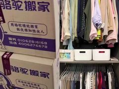 -骆驼日式搬家收纳整理