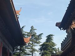 -高旻寺