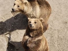 -哈尔滨北方森林动物园