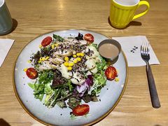 -HELLO 27 意面·沙拉·帕尼尼