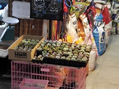 -宝鸡东道花鸟鱼虫市场(吉利花园商场店)