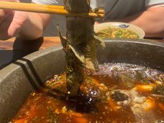 -石锅苗苗鱼(武汉首店)