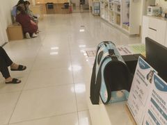 -美联众合动物医院·24h京西诊疗中心