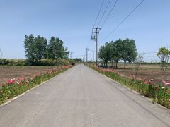 -嘉北郊野公园