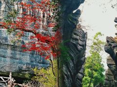 -梭布垭石林景区