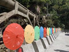 -九龙江国家森林公园