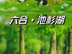 -池杉湖湿地公园