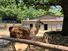 -西安秦岭野生动物园