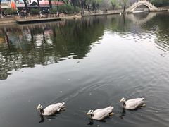 -石家庄市动物园