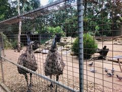 -费瑟代尔野生动物园