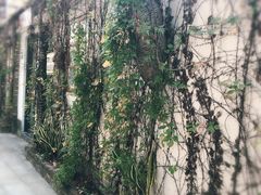 -伦教678文化街