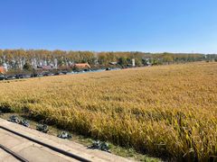 -稻梦空间冰雪小镇