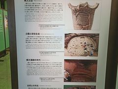 -北海道厅旧本厅舍(旧本庁舎)