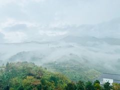 -星巴克臻选(宁波天一广场店)