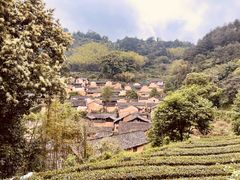 -杨家堂村