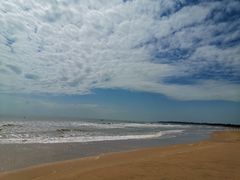 -日照海滨国家森林公园