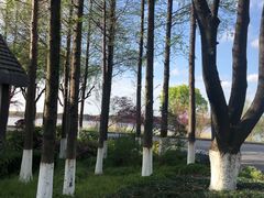 -太阳岛度假酒店