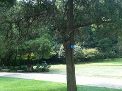 -镇江市南山风景名胜区竹林景区