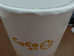 焦糖奶茶（青稞）-CoCo都可(惠山古镇店)