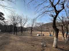 -高尔山公园