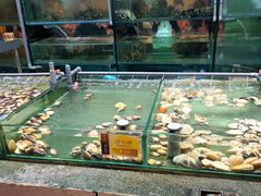 -大茄来海鲜餐厅(亚洲城分行)
