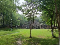 -泰州凤城河风景区-泰山公园